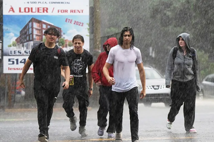 خطر از بالای سر کبک و از روی صورت اتاوا رد شد!
